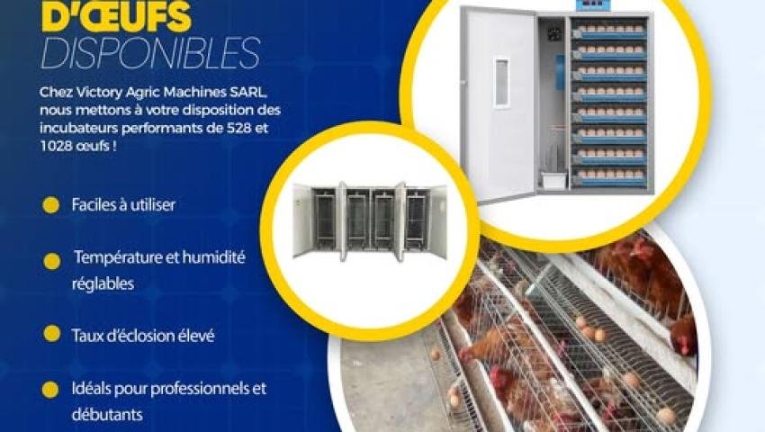 🐣 Egg Incubators Available – 528 and 1028 Eggs: Grow Your Poultry Business
