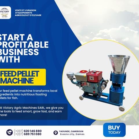 Start a Profitable Business with a Feed Pellet Machine!