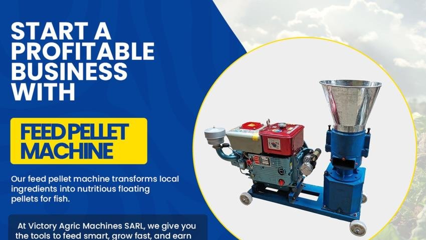 Start a Profitable Business with a Feed Pellet Machine!