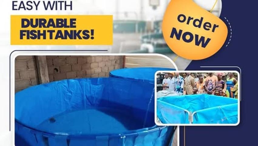 Fish Farming Made Easy with Durable Fish Tanks