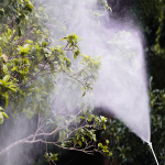 Gasoline Power Sprayer