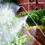 Gasoline Power Sprayer