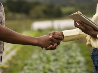 Consulting and Support